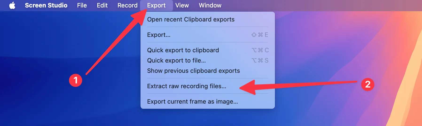 Extract raw recording files