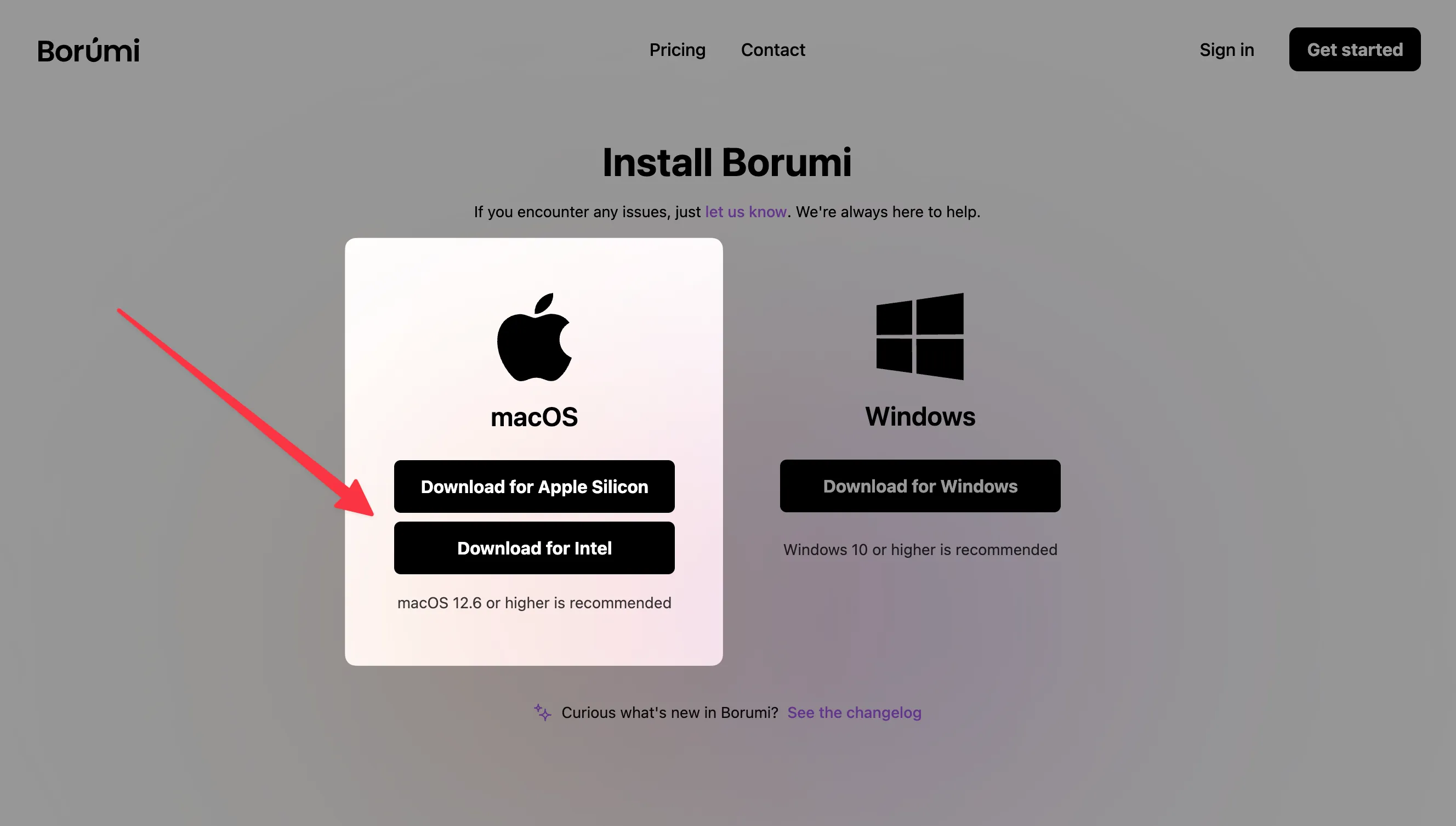 Borumi Install page showing the macOS download options
