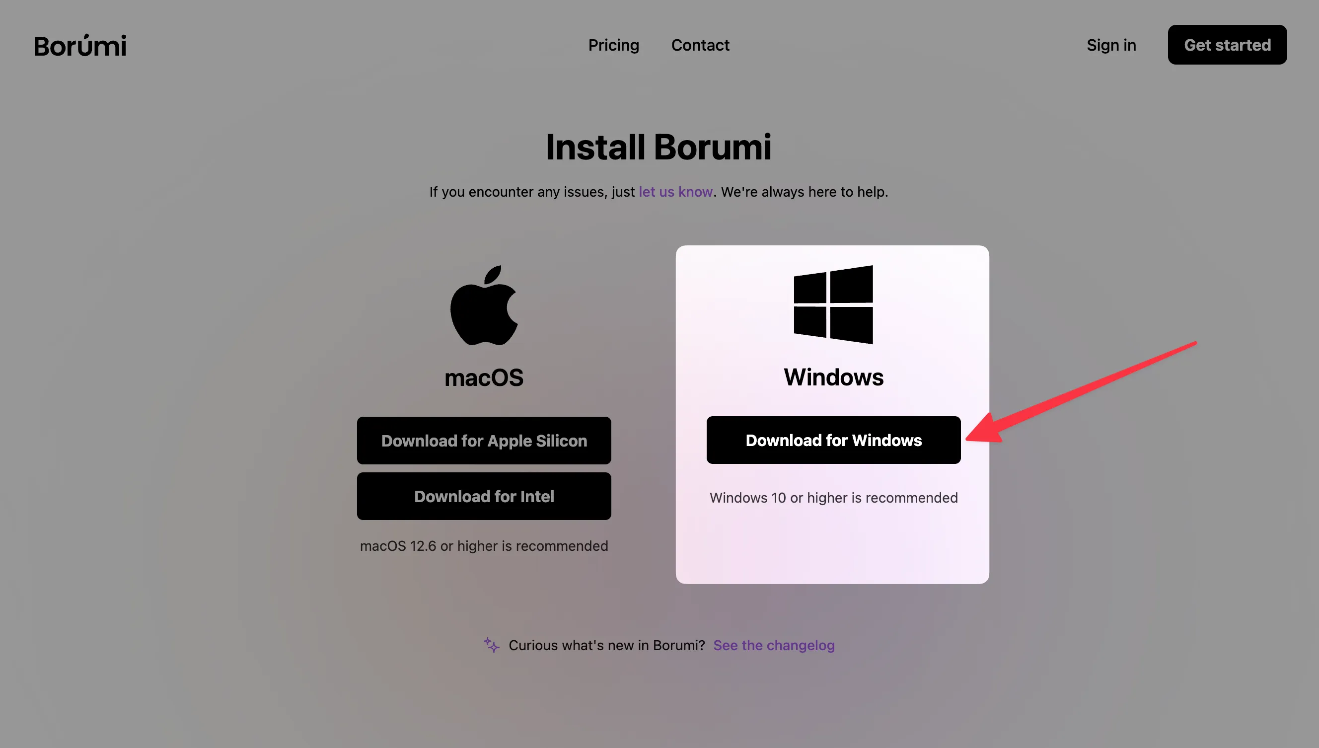 Borumi Install page showing the Windows download option