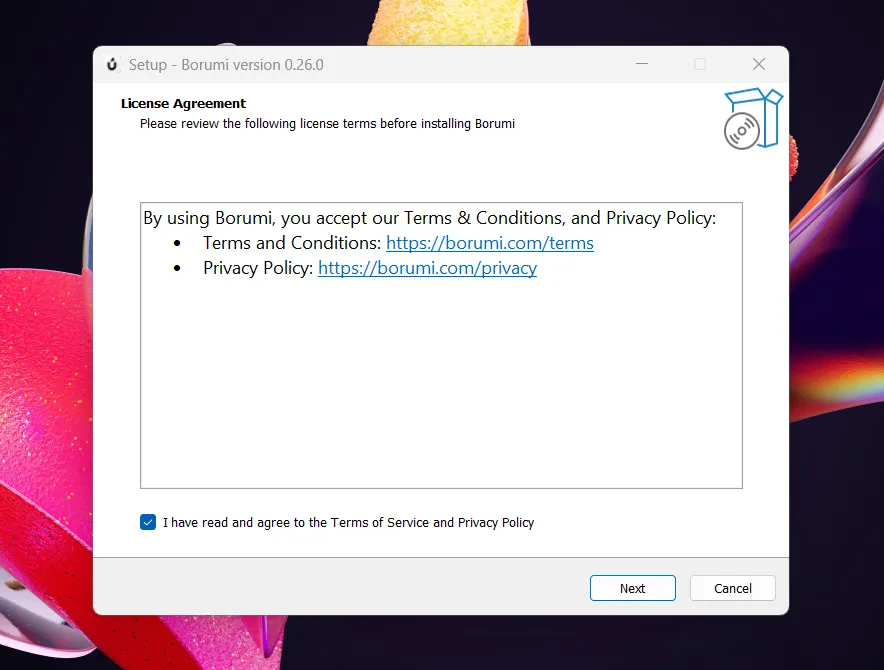 Borumi Windows installer