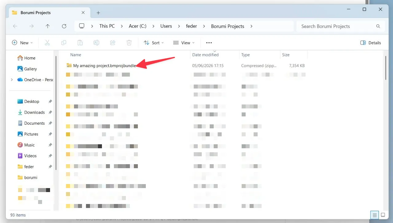 File Explorer showing the generated Borumi project zip file